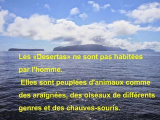 Les «Desertas» ne sont pas habitées
par l'homme.
Elles sont peuplées d'animaux comme
des araignées, des oiseaux de différents
genres et des chauves-souris.
 