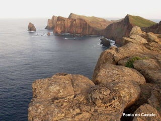 Ponta do Castelo 