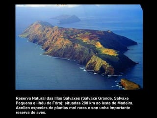 Reserva Natural das Illas Salvaxes (Salvaxe Grande, Salvaxe Pequena e Ilhéu de Fóra): situadas 280 km ao leste de Madeira. Acollen especies de plantas moi raras e son unha importante reserva de aves. 