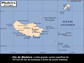 Illa de Madeira : a máis grande, cunha superficie de 741 km 2  (57 km de lonxitude e 22 km de ancho máximo) 