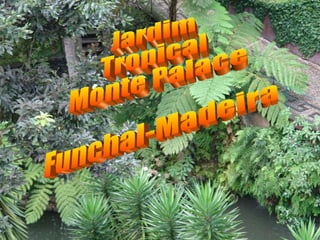 Jardim Tropical Monte Palace Funchal-Madeira 
