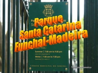 Parque  Santa Catarina Funchal-Madeira Transição automática 