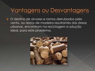    O destino de arvores e ramos derrubados pelo
    vento, ou restos de madeira resultantes das áreas
    urbanas, encontram na reciclagem a solução
    ideal, para este problema.
 