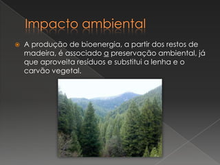    A produção de bioenergia, a partir dos restos de
    madeira, é associado a preservação ambiental, já
    que aproveita resíduos e substitui a lenha e o
    carvão vegetal.
 