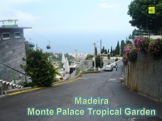 Madeira - Monte Palace Tropical Garden - 2009