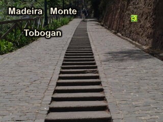 Madeira - Monte Tobogan - 2009