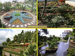 Jardim Botânico no Funchal. 