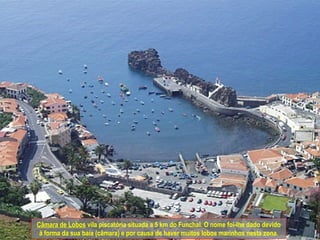 Câmara de Lobos  vila piscatória situada a 5 km do Funchal. O nome foi-lhe dado devido à forma da sua baía (câmara) e por causa de haver muitos lobos marinhos nesta zona. 