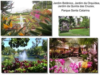 Jardim Botânico, Jardim da Orquídea,
Jardim da Quinta das Cruzes,
Parque Santa Catarina
 