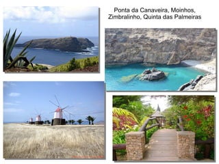Ponta da Canaveira, Moinhos,
Zimbralinho, Quinta das Palmeiras
 