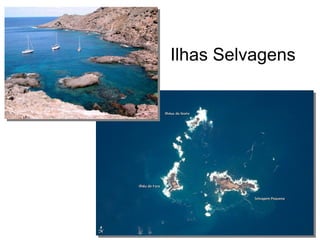 Ilhas Selvagens
 