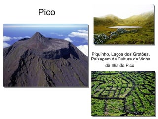Pico
Piquinho, Lagoa dos Grotões,
Paisagem da Cultura da Vinha
da Ilha do Pico
 