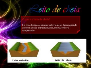 O que é o leito de cheia?

É a zona temporariamente coberta pelas águas quando
ocorrem cheias extraordinárias, inundações ou
tempestades.
 