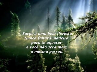Surgirá uma bela floresta.Surgirá uma bela floresta.
Nunca faltará madeiraNunca faltará madeira
para te aquecerpara te aquecer
e você não será maise você não será mais
a mesma pessoa.a mesma pessoa.
 