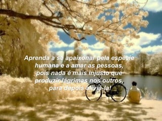 Aprenda a se apaixonar pela espécieAprenda a se apaixonar pela espécie
humana e a amar as pessoas,humana e a amar as pessoas,
pois nada é mais injusto quepois nada é mais injusto que
produzir lágrimas nos outros,produzir lágrimas nos outros,
para depois aliviá-la!para depois aliviá-la!
 