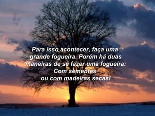 Para isso acontecer, faça umaPara isso acontecer, faça uma
grande fogueira. Porém há duasgrande fogueira. Porém há duas
maneiras de se fazer uma fogueira:maneiras de se fazer uma fogueira:
Com sementesCom sementes
ou com madeiras secas!ou com madeiras secas!
 