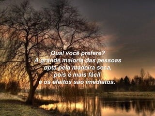 Qual você prefere?Qual você prefere?
A grande maioria das pessoasA grande maioria das pessoas
opta pela madeira seca,opta pela madeira seca,
pois é mais fácilpois é mais fácil
e os efeitos são imediatos.e os efeitos são imediatos.
 