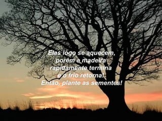 Elas logo se aquecem,Elas logo se aquecem,
porém a madeiraporém a madeira
rapidamente terminarapidamente termina
e o frio retorna!e o frio retorna!
Então, plante as sementes!Então, plante as sementes!
 