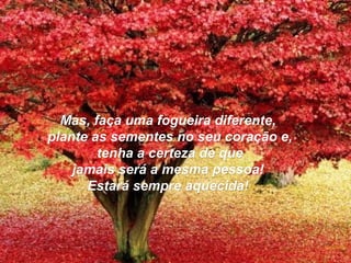 Mas, faça uma fogueira diferente,Mas, faça uma fogueira diferente,
plante as sementes no seu coração e,plante as sementes no seu coração e,
tenha a certeza de quetenha a certeza de que
jamais será a mesma pessoa!jamais será a mesma pessoa!
Estará sempre aquecida!Estará sempre aquecida!
 