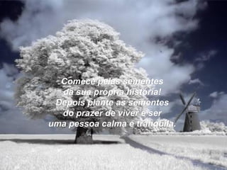 Comece pelas sementesComece pelas sementes
da sua própria história!da sua própria história!
Depois plante as sementesDepois plante as sementes
do prazer de viver e serdo prazer de viver e ser
uma pessoa calma e tranqüila.uma pessoa calma e tranqüila.
 