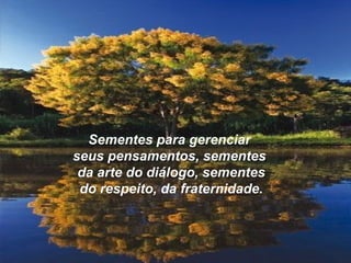 Sementes para gerenciarSementes para gerenciar
seus pensamentos, sementesseus pensamentos, sementes
da arte do diálogo, sementesda arte do diálogo, sementes
do respeito, da fraternidade.do respeito, da fraternidade.
 
