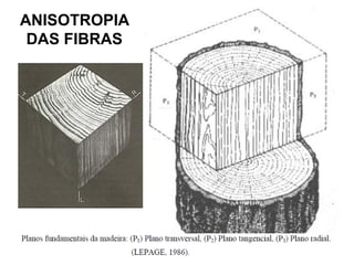 ANISOTROPIA
DAS FIBRAS

 