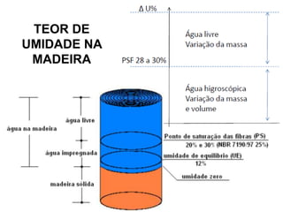 TEOR DE
UMIDADE NA
MADEIRA

 