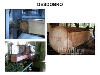 DESDOBRO

 