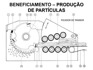 BENEFICIAMENTO – PRODUÇÃO
DE PARTÍCULAS
PICADOR DE TAMBOR

 
