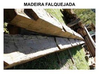 MADEIRA FALQUEJADA

 