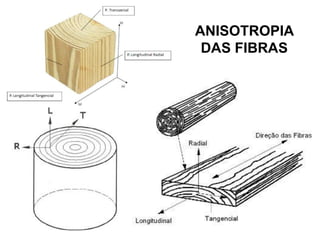 ANISOTROPIA
DAS FIBRAS

 