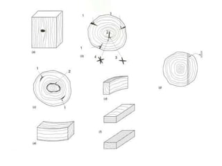 c) cerne ou durâmen  - com o crescimento, as células vivas do alburno tornam-se inativas e constituem o cerne, de coloração mais escura, passando a ter apenas função de sustentar o tronco;
