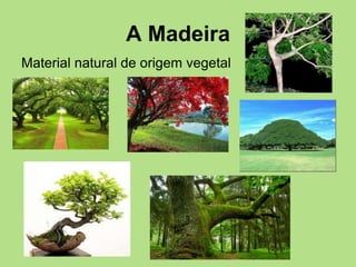A Madeira
Material natural de origem vegetal
 