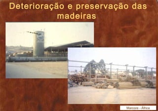 Deterioração e preservação das 
madeiras 
Marcore - África 
 