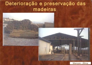 Deterioração e preservação das 
madeiras 
Marcore - África 
 