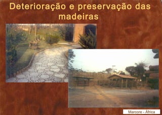 Deterioração e preservação das 
madeiras 
Marcore - África 
 