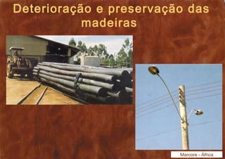 Deterioração e preservação das 
madeiras 
Marcore - África 
 