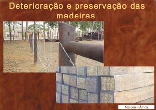 Deterioração e preservação das 
madeiras 
Marcore - África 
 