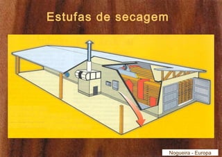 Estufas de secagem 
Nogueira - Europa 
 