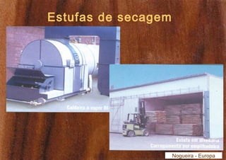 Estufas de secagem 
Nogueira - Europa 
 
