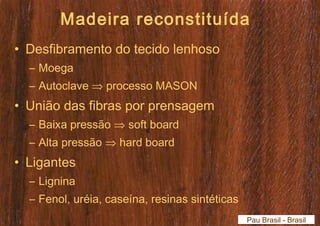 Madeira reconstituída 
• Desfibramento do tecido lenhoso 
– Moega 
– Autoclave Þ processo MASON 
• União das fibras por prensagem 
– Baixa pressão Þ soft board 
– Alta pressão Þ hard board 
• Ligantes 
– Lignina 
– Fenol, uréia, caseína, resinas sintéticas 
Pau Brasil - Brasil 
 