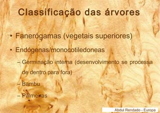 Classificação das árvores 
• Fanerógamas (vegetais superiores) 
• Endógenas/monocotiledoneas 
– Germinação interna (desenvolvimento se processa 
de dentro para fora) 
– Bambu 
– Palmeiras 
Abdul Rendado - Europa 
 