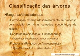 Classificação das árvores 
•Exógenas/dicotiledoneas 
–Germinação externa (desenvolvimento se processa 
pela adição de novas camadas concêntricas de 
células) 
–Coníferas (Resinosas ou Gimnospermas) 
•Sementes descobertas, folhas aciculares 
–Frondosas (Folhosas ou Angiospermas) 
•Sementes em frutos, folhas chatas 
Abdul Rendado - Europa 
 