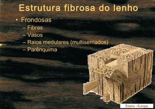 Estrutura fibrosa do lenho 
• Frondosas 
– Fibras 
– Vasos 
– Raios medulares (multiserriados) 
– Parênquima 
Ébano - Europa 
 