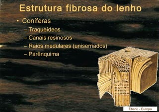Estrutura fibrosa do lenho 
• Coníferas 
– Traqueídeos 
– Canais resinosos 
– Raios medulares (uniserriados) 
– Parênquima 
Ébano - Europa 
 