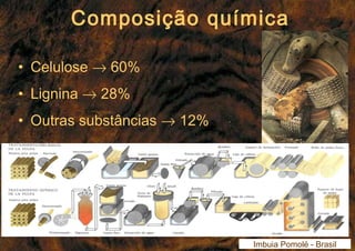 Composição química 
• Celulose ® 60% 
• Lignina ® 28% 
• Outras substâncias ® 12% 
Imbuia Pomolé - Brasil 
 