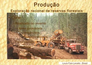 Produção 
Exploração racional de reservas florestais 
• Corte 
– Realizado no inverno 
• Maior durabilidade 
– Secagem lenta 
– Paralisação vegetativa 
– Ferramentas 
• Machado 
• Traçador 
• Máquinas de derrubar 
Louro Faia Lavado - Brasil 
 
