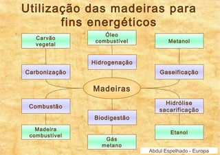 Utilização das madeiras para 
fins energéticos 
Madeiras 
Gaseificação 
Hidrogenação 
Carvão 
vegetal 
Carbonização 
Hidrólise 
sacarificação 
Biodigestão 
Combustão 
Óleo 
combustível Metanol 
Madeira 
combustível Gás 
metano 
Etanol 
Abdul Espelhado - Europa 
 