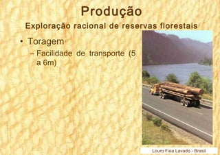 Produção 
Exploração racional de reservas florestais 
• Toragem 
– Facilidade de transporte (5 
a 6m) 
Louro Faia Lavado - Brasil 
 