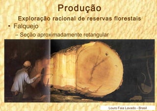 Produção 
Exploração racional de reservas florestais 
• Falquejo 
– Seção aproximadamente retangular 
Louro Faia Lavado - Brasil 
 